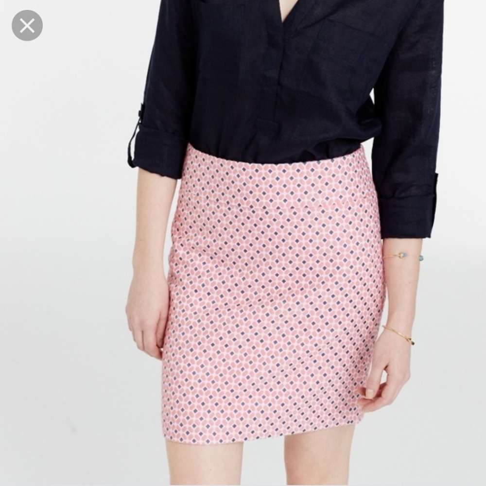 Ann Taylor Skirt